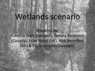 Wetlands scenario Prepared by: Karolina Stark (Sweden), Tamara ...