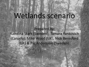Wetlands scenario Prepared by: Karolina Stark (Sweden), Tamara ...