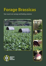 Forage Brassicas - British Seed Houses