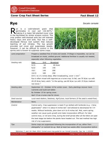 Cover Crop Fact Sheet Rye - Horticulture - Cornell University