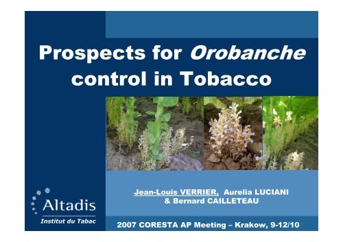 Prospects for Orobanche control in Tobacco PDF