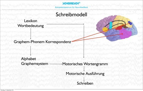 Neurobiologische Grundlagen des Lernens 1 ... - SCHORESCH