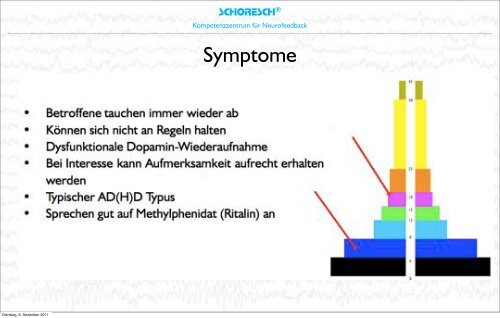 Neurobiologische Grundlagen des Lernens 1 ... - SCHORESCH