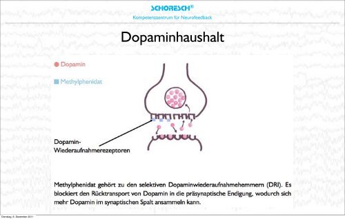 Neurobiologische Grundlagen des Lernens 1 ... - SCHORESCH