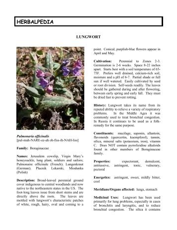 Lungwort - HerbWorld