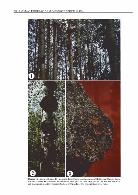 Note Aceria parapopuli - Canadian Forest Service