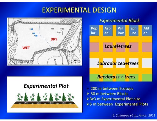 Bio-intrusion barrier made of plants p with allelopathic effects to ...