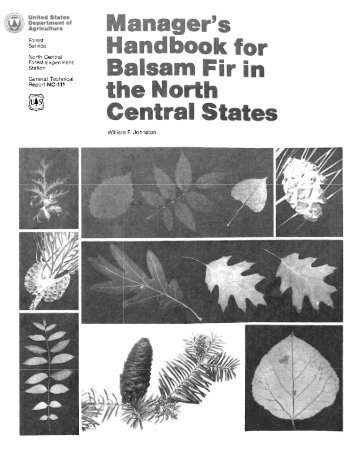 NCSM- Manager's Handbook for Balsam Fir in the Central States