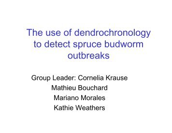 The use of dendrochronology to detect spruce budworm outbreaks