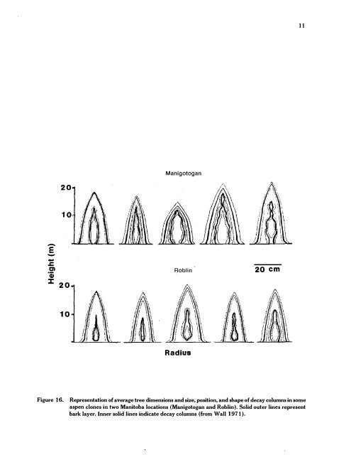 decay of aspen and balsam poplar in alberta - Canadian Forest ...