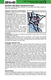 MHn46 Northern Wet-Mesic Hardwood Forest factsheet