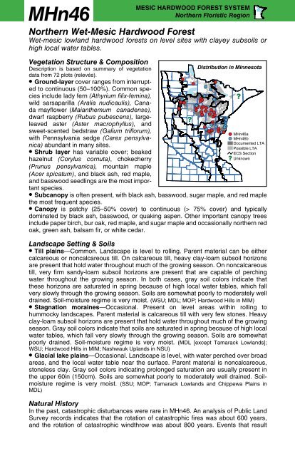 MHn46 Northern Wet-Mesic Hardwood Forest factsheet