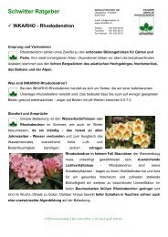 INKARHO - Rhododendron - Gärtnerei Schwitter AG