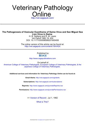 The Pathogenesis of Vesicular Exanthema of Swine Virus and San ...