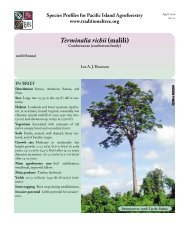 Terminalia richii (malili) - Agroforestry Net