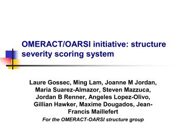 OMERACT/OARSI initiative: structure severity scoring system