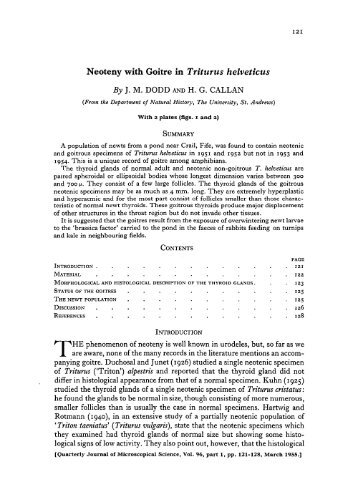 Neoteny with Goitre in Triturus helveticus By JM - Journal of Cell ...