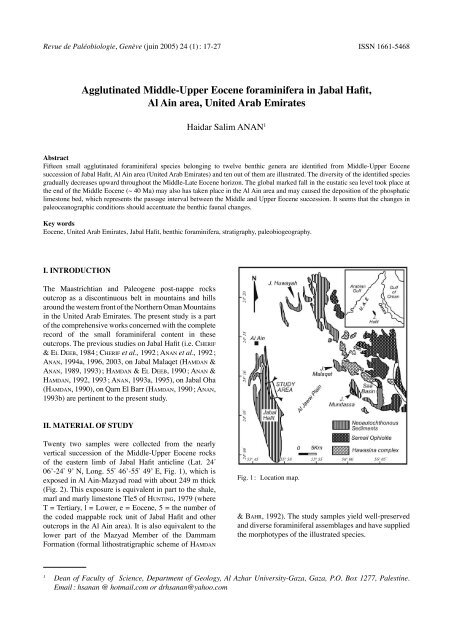 Agglutinated Middle-Upper Eocene foraminifera in Jabal Hafit, Al ...