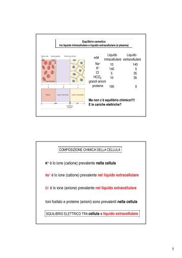 2. Potenziale di riposo - Docente.unicas.it