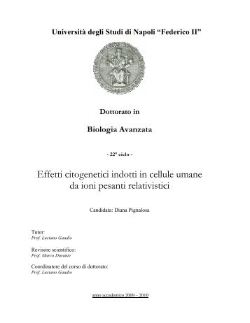 Effetti citogenetici indotti in cellule umane da ioni pesanti ... - GSI