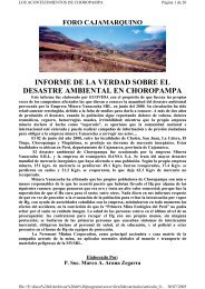 INFORME DE LA VERDAD SOBRE EL DESASTRE AMBIENTAL EN CHOROPAMPA