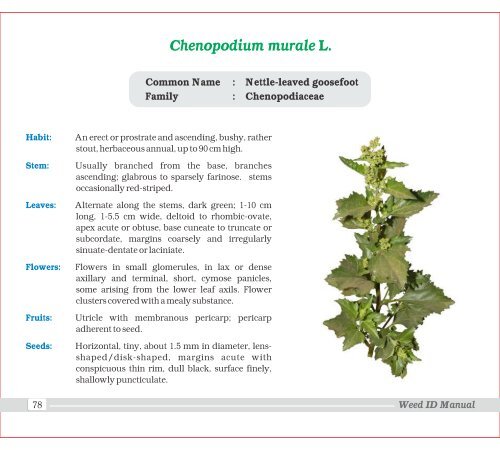 Family - Indian Society of Weed Science