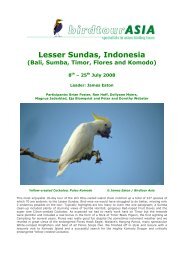 Lesser Sundas, Indonesia - Birdtour Asia