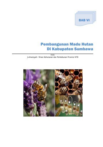 Pembangunan Madu Hutan Di Kabupaten Sumbawa - Departemen ...