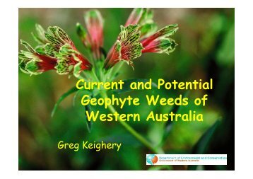 Current and Potential Geophyte Weeds of Western Australia