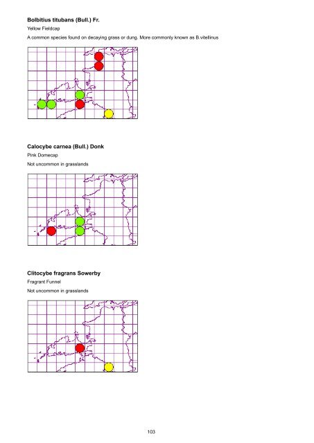 North Kerry Waxcap Survey 2012 - the Northern Ireland Fungus Group