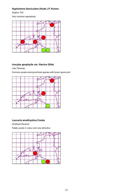 North Kerry Waxcap Survey 2012 - the Northern Ireland Fungus Group