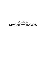 MACROHONGOS