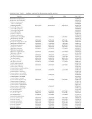 SUPPLEMENTARY TABLE I. GenBank numbers for all ... - Mycologia