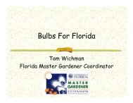 Bulbs For Florida