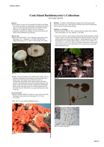 Report on the Basidiomycete fungi (PDF File, 5.1 - Landcare Research