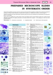 Prepared Microscope Slides in Systematic Order - lieder.de