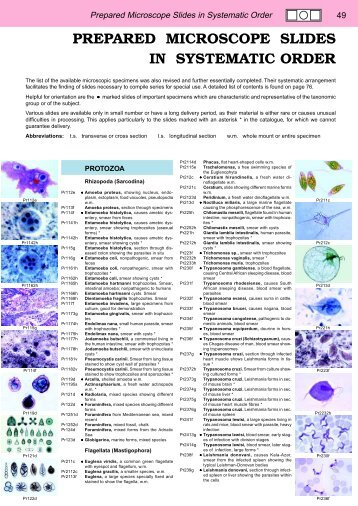 Prepared Microscope Slides in Systematic Order - lieder.de