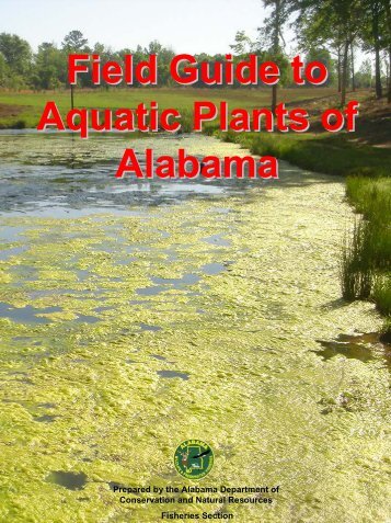 Field Guide to Aquatic Plants of Alabama - Alabama Department of ...