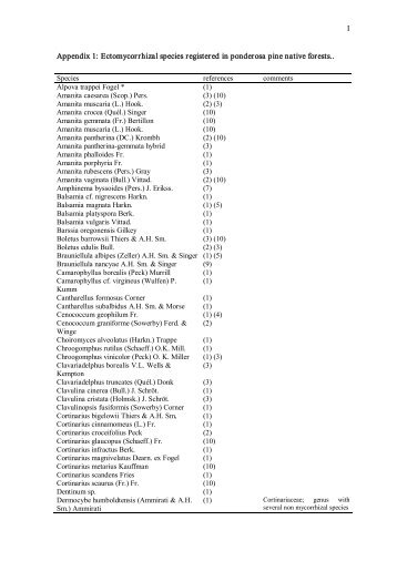 I Appendix 1: Ectomycorrhizal species registered in ... - Ciefap