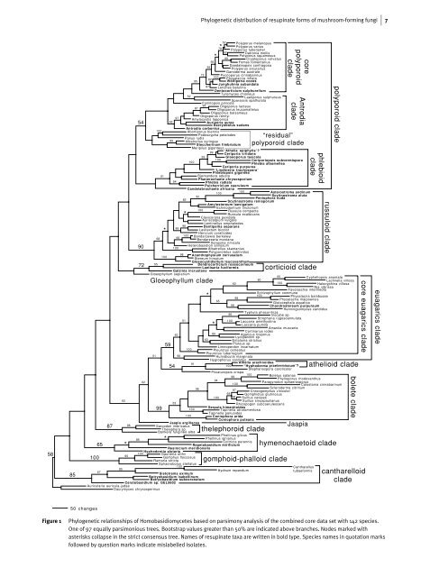 The phylogenetic distribution of resupinate forms ... - Clark University