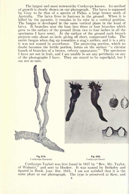 Lloyd Mycological Writings V4.pdf - MykoWeb