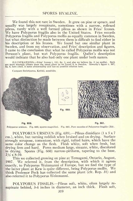Lloyd Mycological Writings V4.pdf - MykoWeb