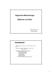 Allgemeine Mikrobiologie Bakterien und Pilze - imikro