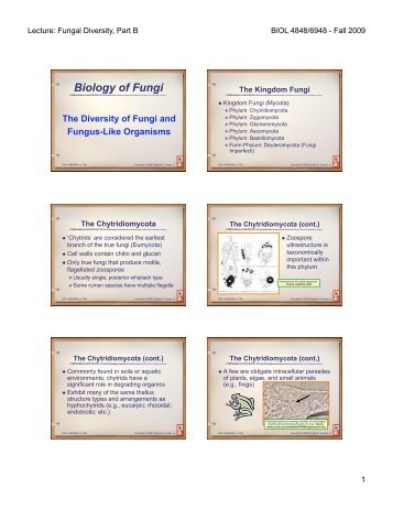 Biology of Fungi