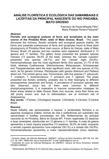 Análise florística e ecológica das samambaias e licófitas - Instituto ...