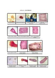ATLAS – CESTÓDEOS - Instituto de Biologia - Unicamp