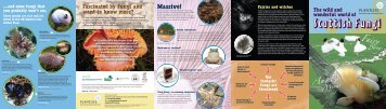 Scottish Fungi - Plantlife