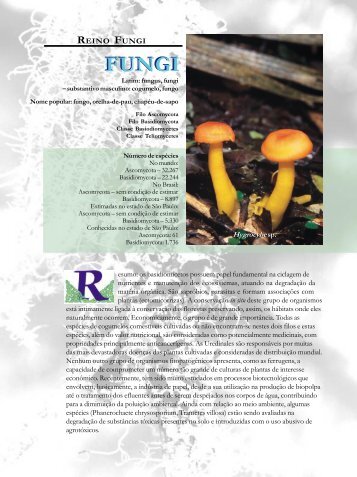 Diagnóstico completo (em PDF) - Fungos Macroscópicos