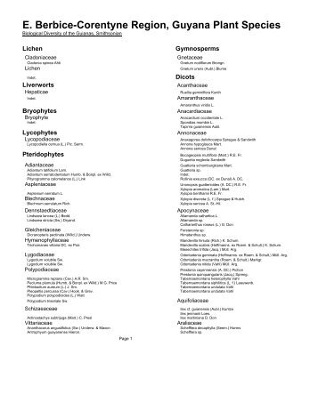 E. Berbice-Corentyne Region, Guyana Plant Species