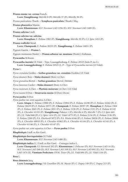 CHECKLIST OF THE VASCULAR PLANTS OF LAO PDR